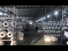 ชุดว่ายน้ำบิกินี่